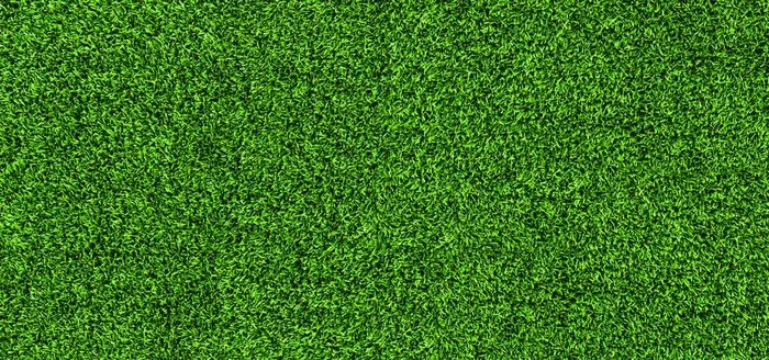 绿色草地背景图片