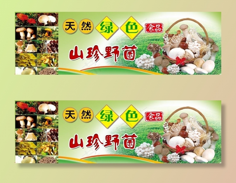 野生菇菌海报图片psd模版下载