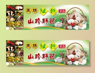 野生菇菌海报图片