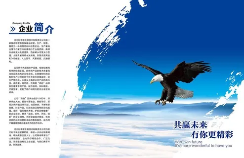 画册公司简介图片