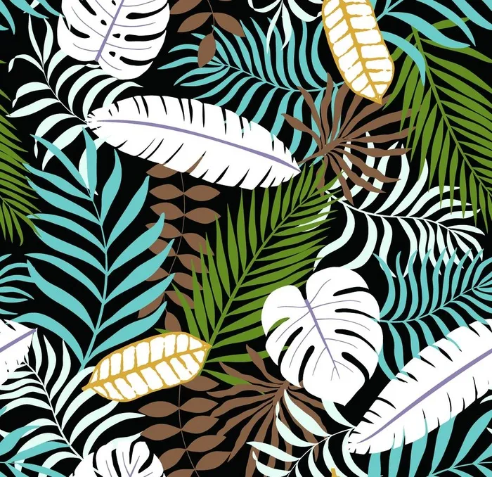 热带植物图片(4167x4167)