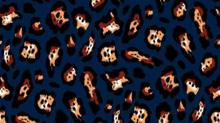 豹纹  大牌  数码印花图片