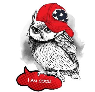 带棒球帽的猫头鹰图片