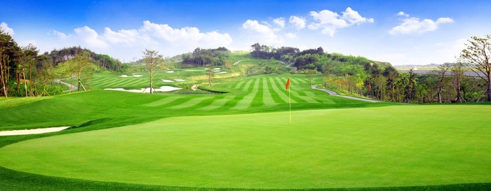 高尔夫球场图片