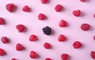 覆盆子 桑葚图片