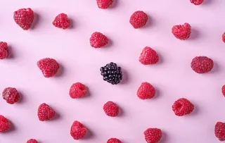 覆盆子 桑葚图片