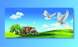 蓝天 白云 草地 鸽子图片