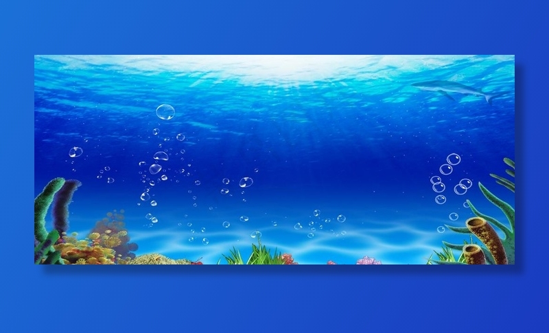 鱼缸背景图片(1920x900)psd模版下载