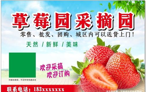 草莓园图片