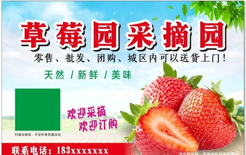 草莓园图片
