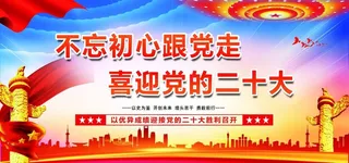 二十大图片