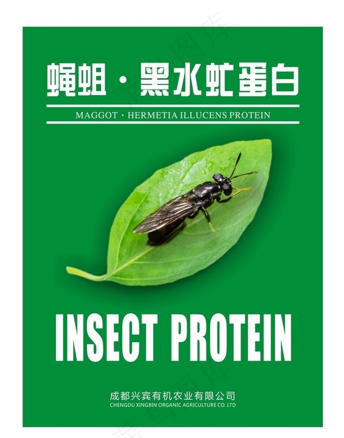 黑水虻  海报  蝇蛆图片cdr矢量模版下载