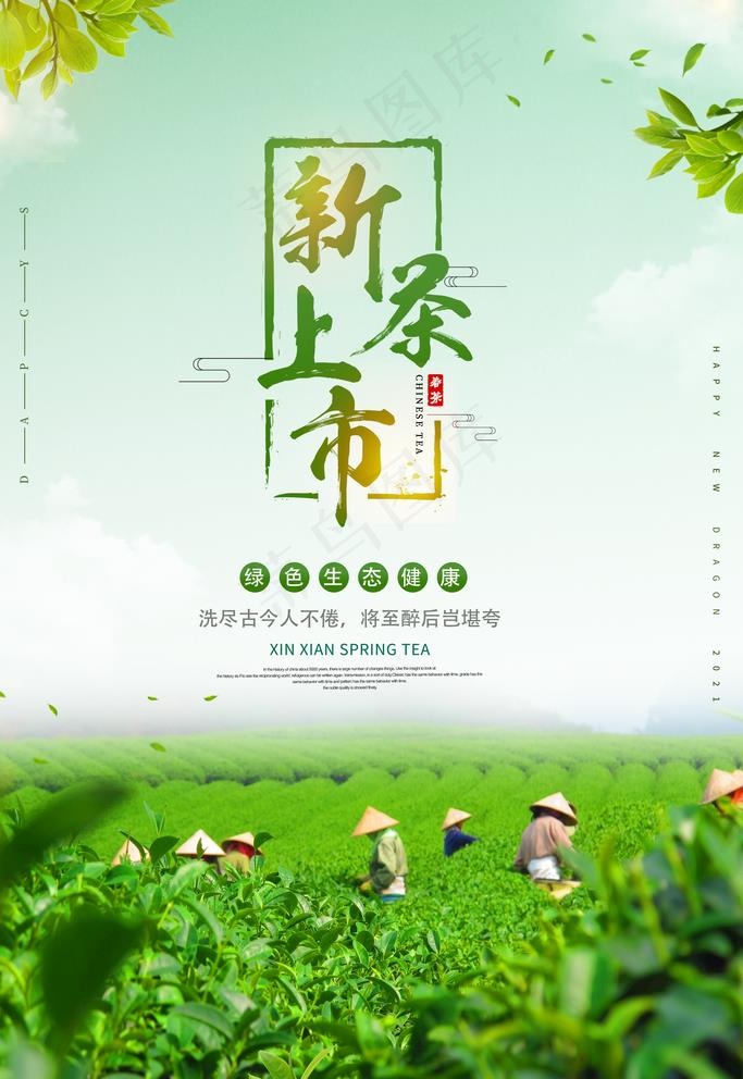 新茶上市图片