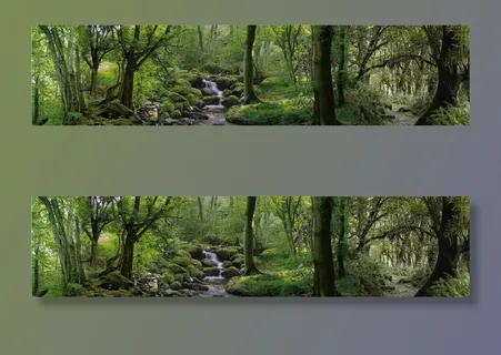 原始森林背景高清合成图图片