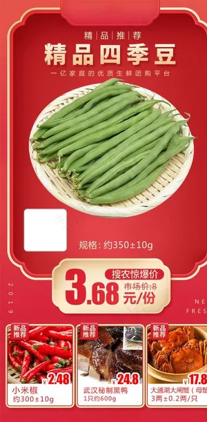 精品四季豆加档秒图片 精品四季豆加档秒图片
