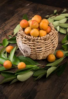 黄色甜杏摄影图片