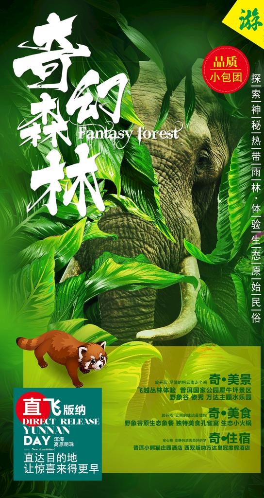 奇幻森林 云南图片