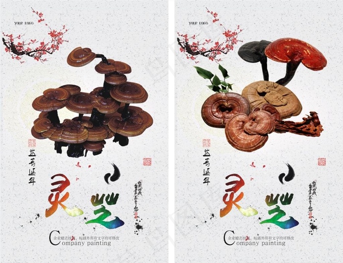 灵芝 药材 养生 中药 梅花图片cdr矢量模版下载