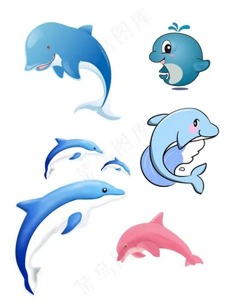 海豚图片