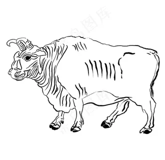 牛图片 牛图片