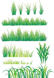 小草草丛素材可编辑图片