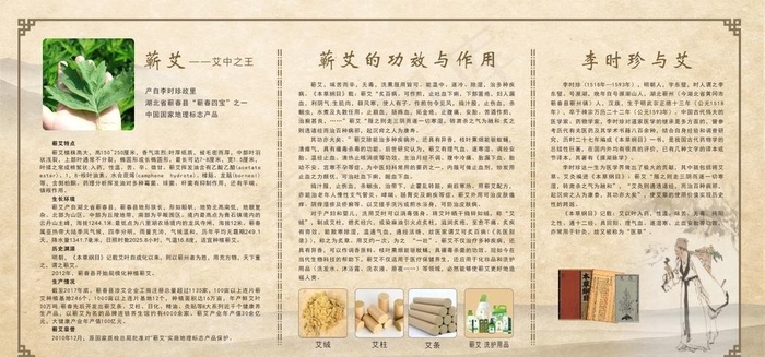 蕲艾功效与作用图片cdr矢量模版下载