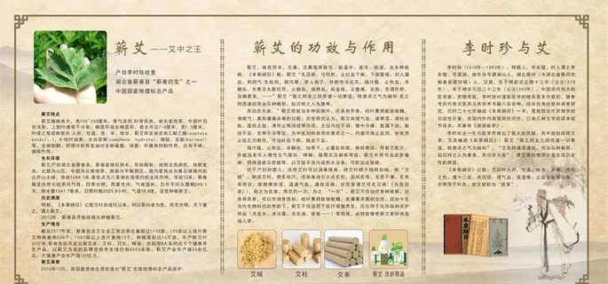 蕲艾功效与作用图片