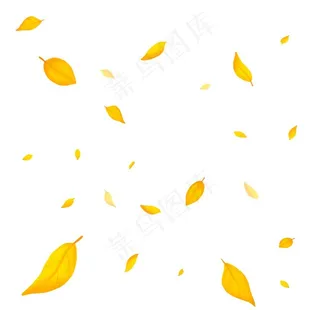 秋天的落叶图片