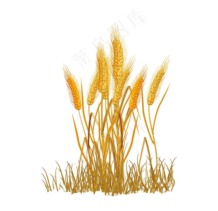 麦穗图片ai矢量模版下载