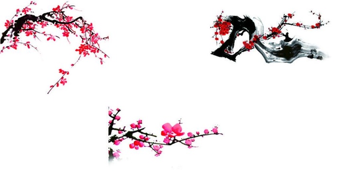 梅花图片