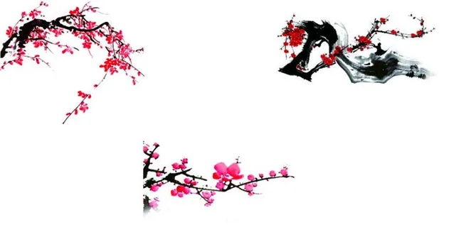 梅花图片