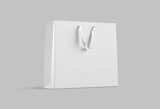 手提袋效果图图片