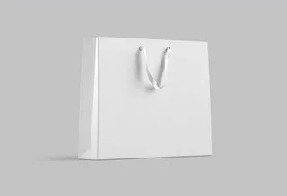 手提袋效果图图片