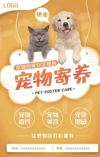 宠物海报图片
