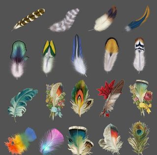 各种炫彩羽毛图片