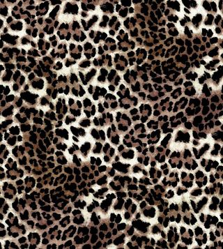 豹纹图片