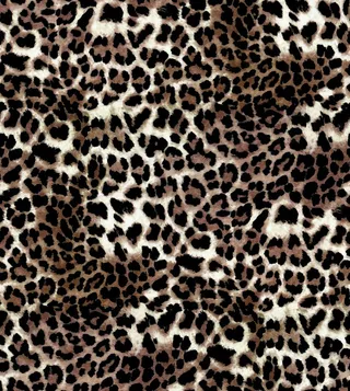 豹纹图片