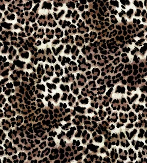 豹纹图片 豹纹图片