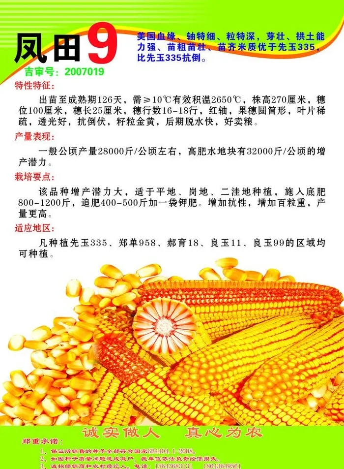 种子宣传单图片(2185x3071)psd模版下载