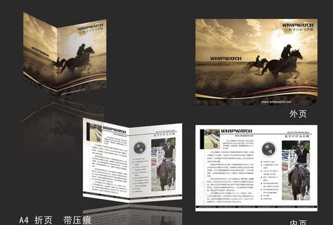 马术鞭宣传册页图片