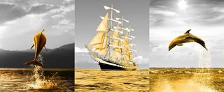 一帆风顺装饰画图片