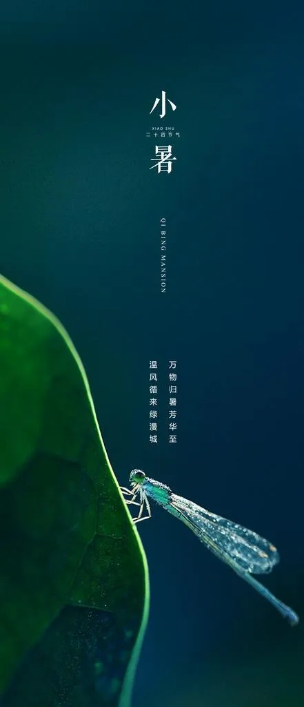 小暑节气海报图片(2126x4606)psd模版下载