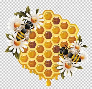 蜂蜜图片