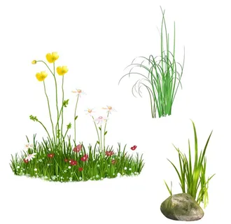 草地图片 草地图片