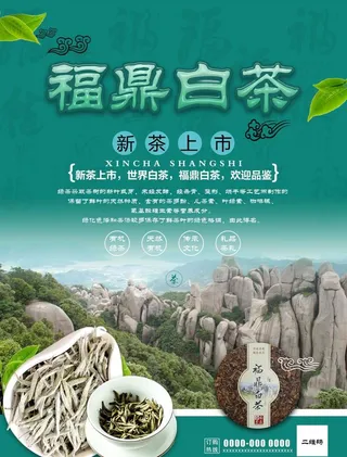 白茶图片