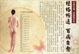 经络通畅 百病自愈图片