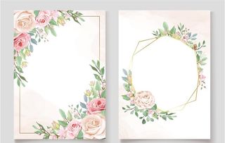 浪漫玫瑰花背景图片