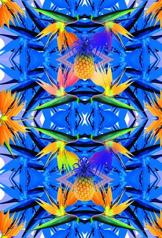 对称热带花图片