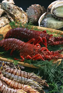 大龙虾图片