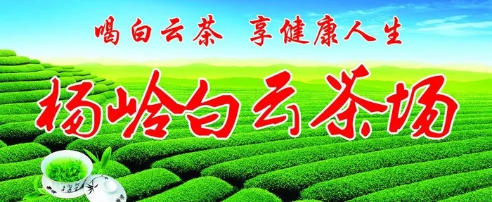 白云茶场图片(6693x2953)psd模版下载